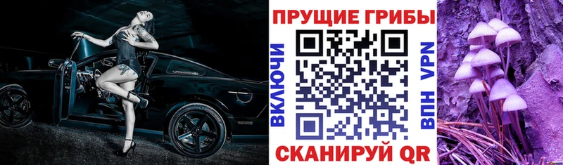 Галлюциногенные грибы Cubensis  наркотики  Цоци-Юрт 
